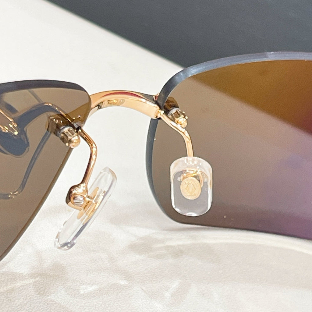Cartier CT0503S Sunglasses product image 6, provided for visual reference and product detail review