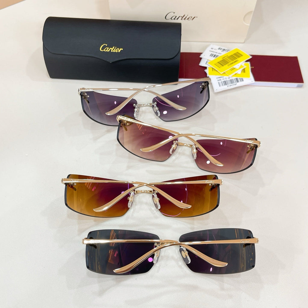 Cartier CT0503S Sunglasses product image 9, provided for visual reference and product detail review