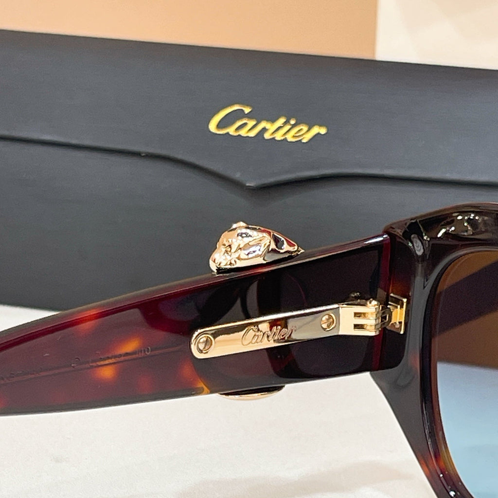 Cartier CT0502S Sunglasses product image 6, provided for visual reference and product detail review