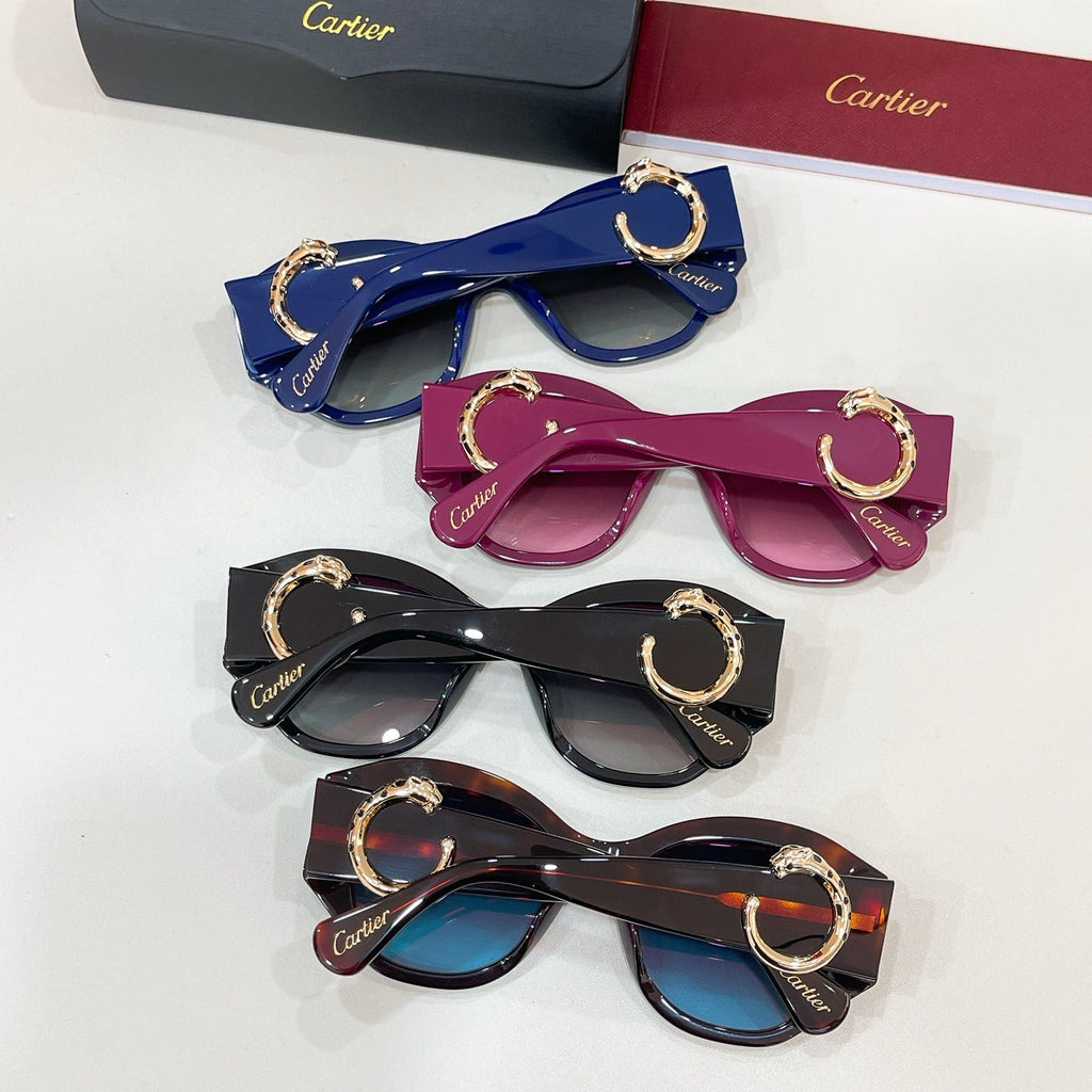 Cartier CT0502S Sunglasses product image 8, provided for visual reference and product detail review