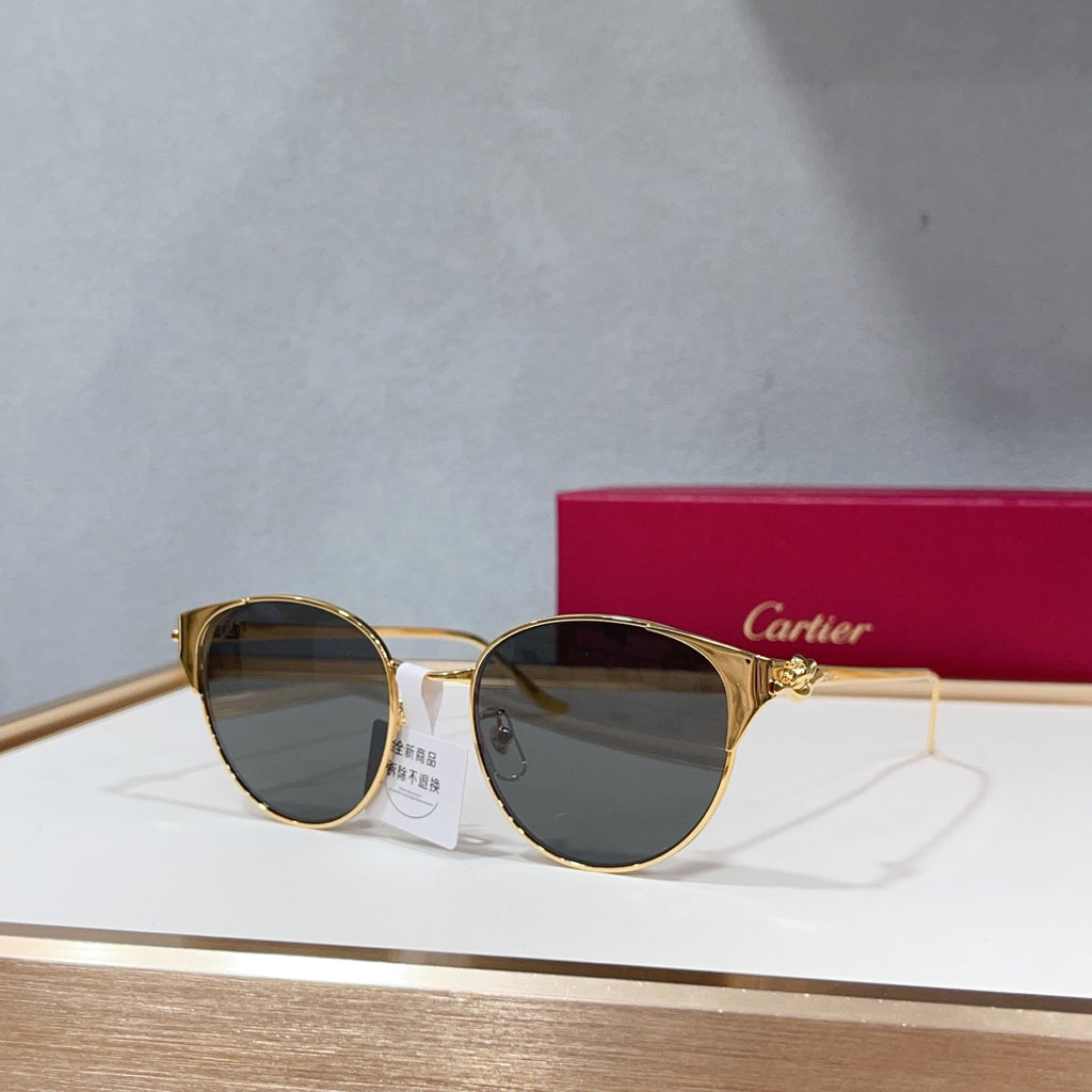 Cartier CT0631S Sunglasses product image 1, provided for visual reference and product detail review