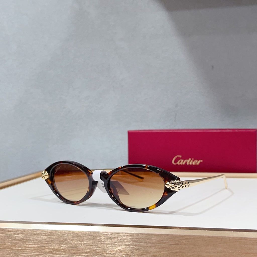 Cartier CT0634S Sunglasses - 50-19-145 product image 4, provided for visual reference and product detail review
