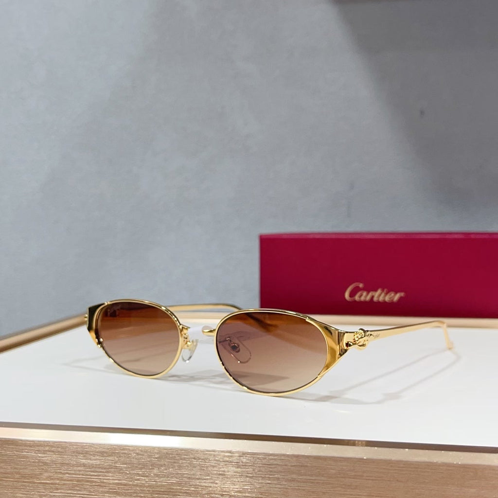 Cartier CT0630S Sunglasses product image 1, provided for visual reference and product detail review
