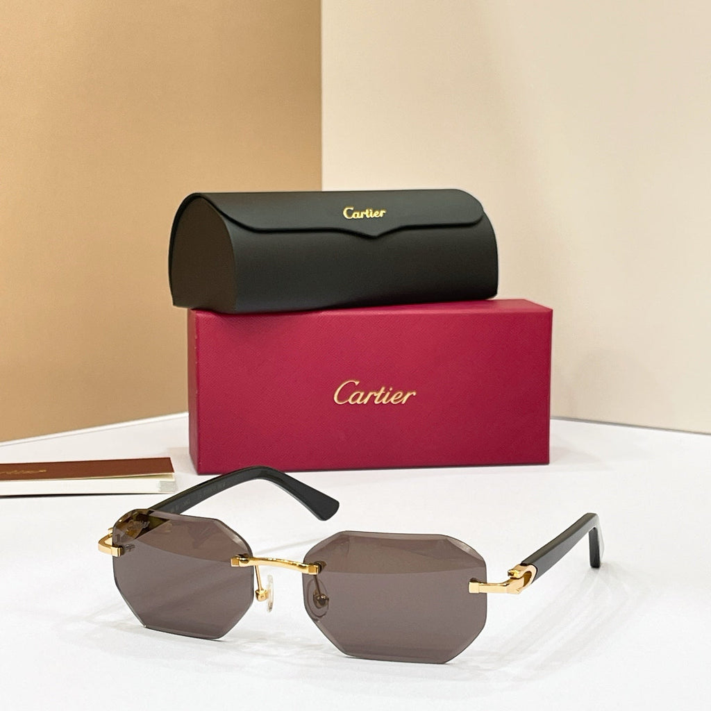 Cartier CT0287O Eyeglass Frames product image 7, provided for visual reference and product detail review