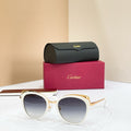 Cartier CT0150SA Sunglasses product image 1, provided for visual reference and product detail review