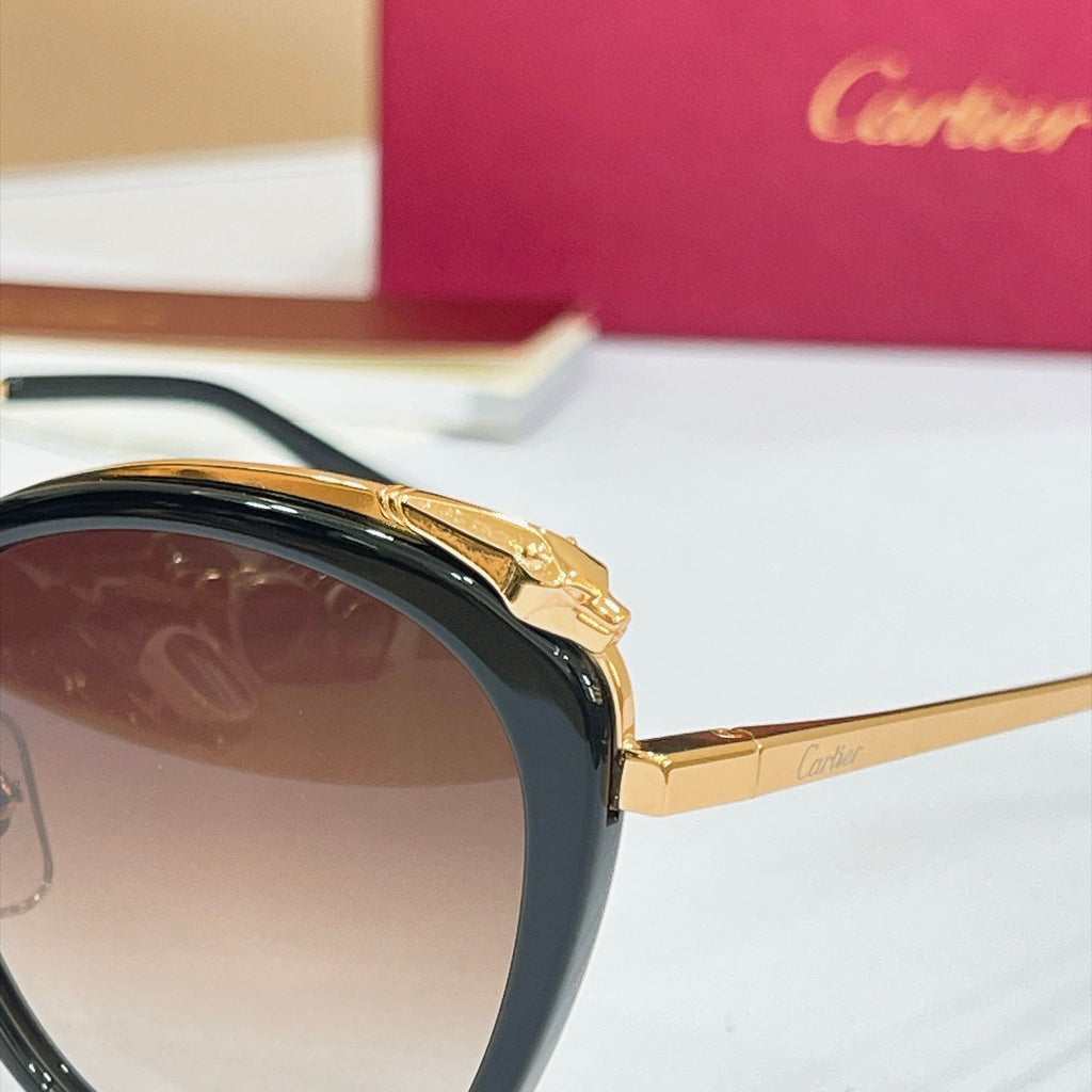 Cartier CT0150SA Sunglasses product image 8, provided for visual reference and product detail review