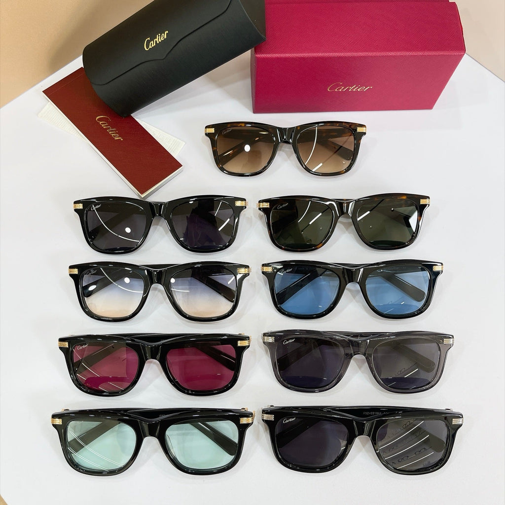 Cartier CT0396 Sunglasses product image 10, provided for visual reference and product detail review
