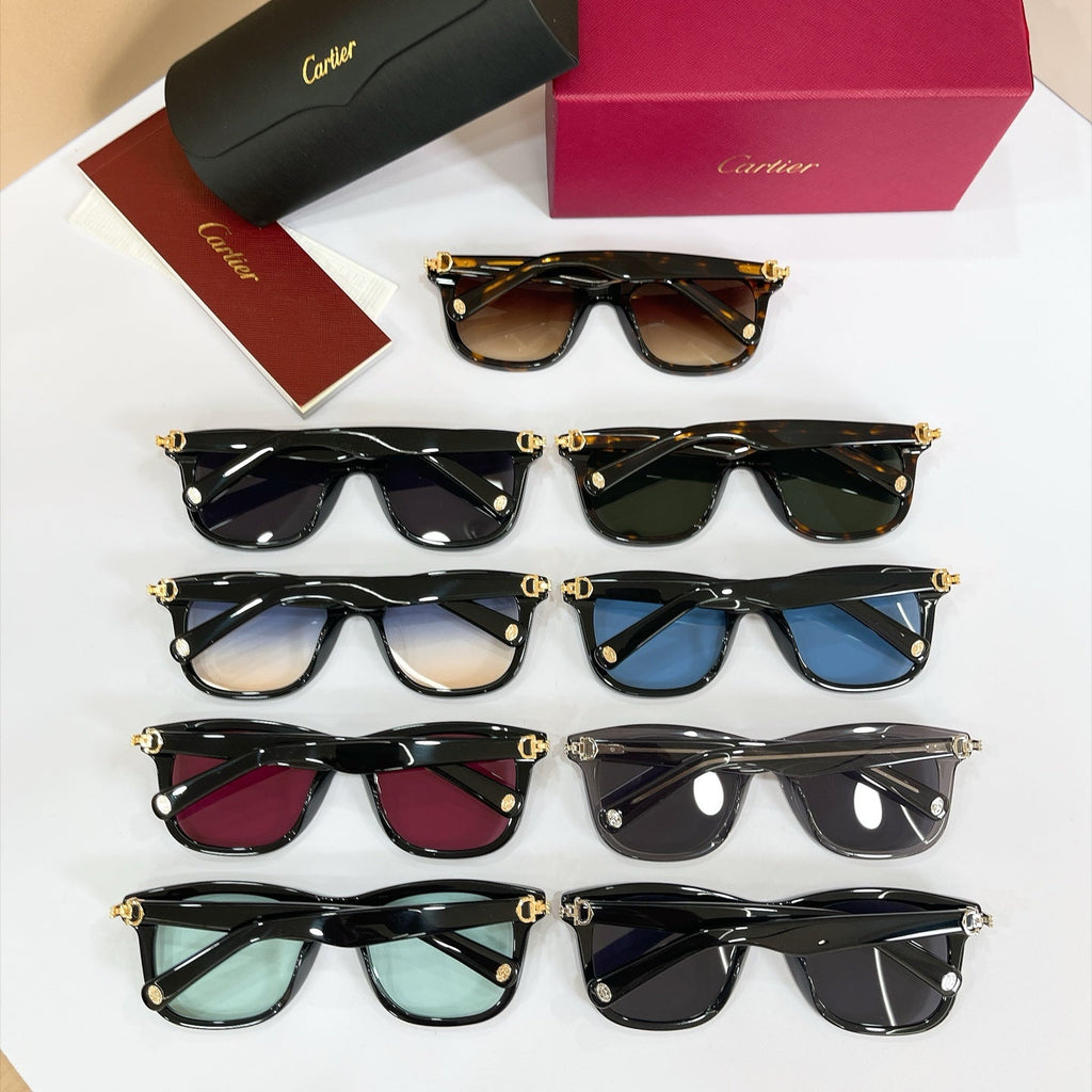 Cartier CT0396 Sunglasses product image 11, provided for visual reference and product detail review