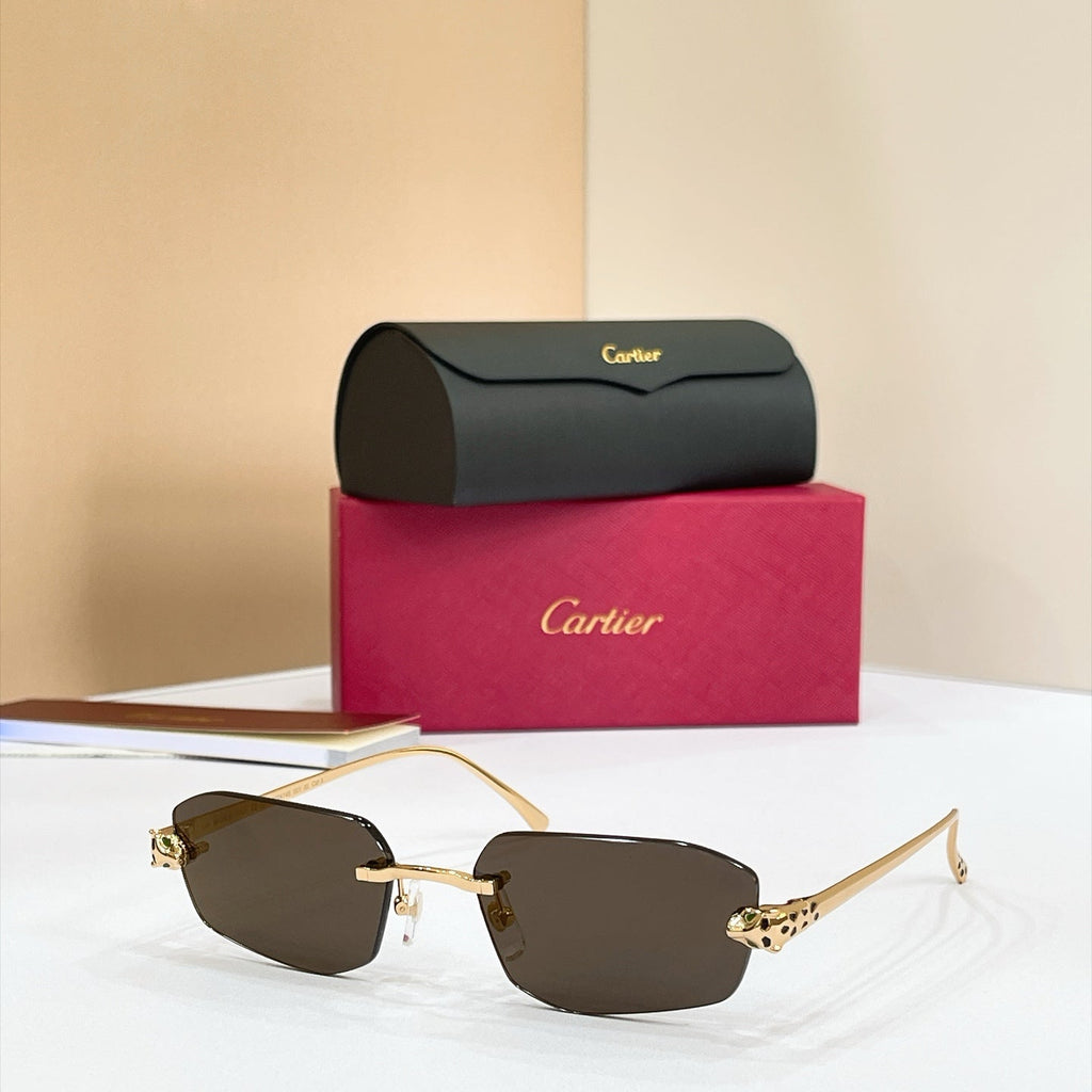 Cartier CT0474S Sunglasses product image 8, provided for visual reference and product detail review