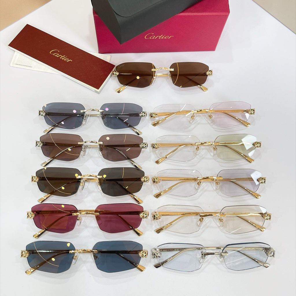 Cartier CT0474S Sunglasses product image 14, provided for visual reference and product detail review