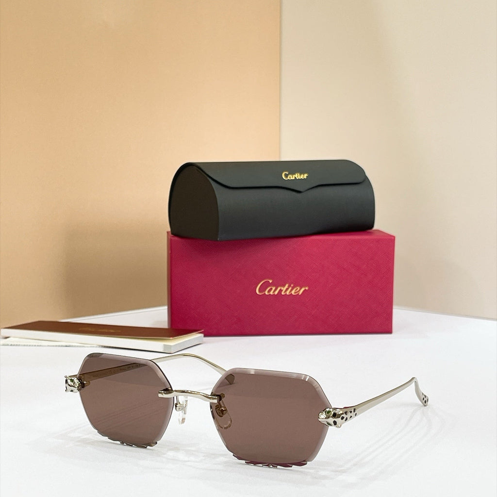 Cartier CT0434O Sunglasses product image 9, provided for visual reference and product detail review