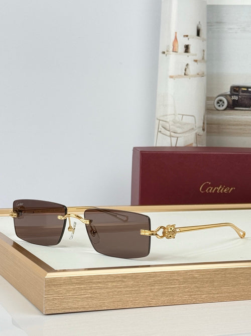Cartier CT0647S Sunglasses product image 2, provided for visual reference and product detail review